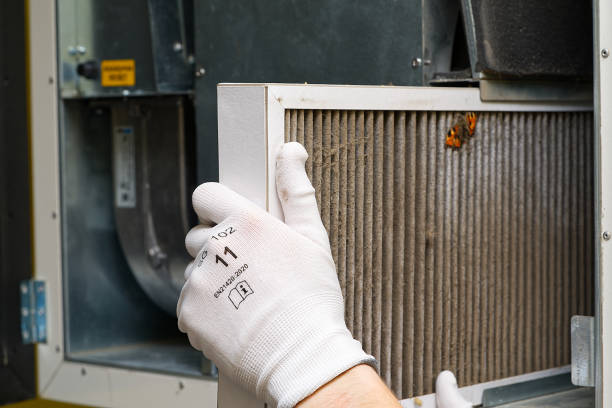 Best Professional Duct Cleaning Services  in Edmundson, MO