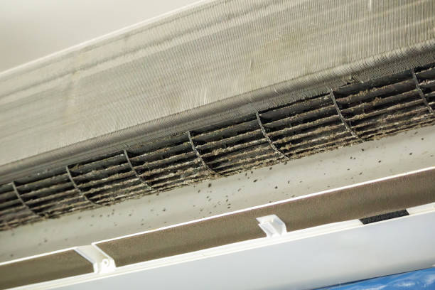 Best Best Air Duct Cleaning Company  in Edmundson, MO